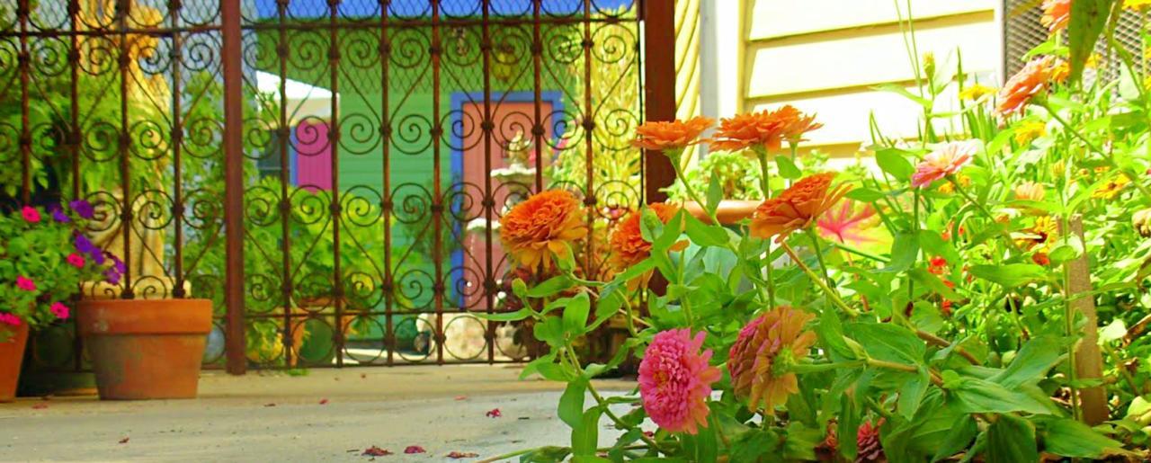 Creole Gardens Guesthouse And Inn New Orleans Exteriör bild